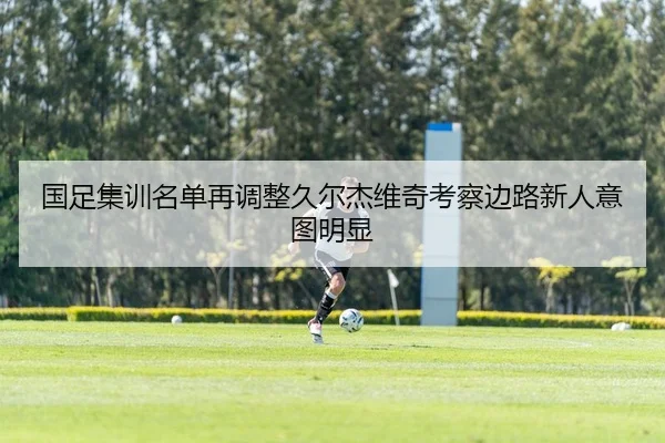 国足集训名单再调整久尔杰维奇考察边路新人意图明显